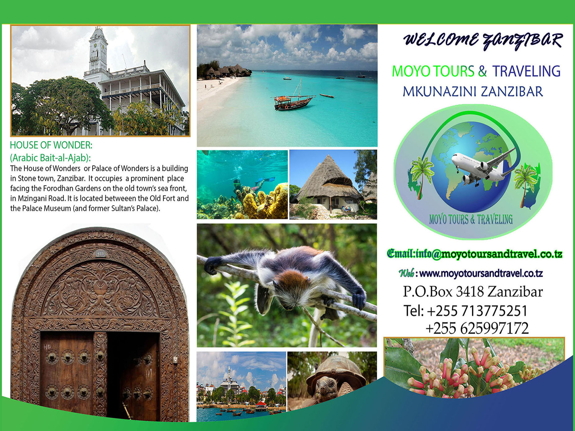 moyo tours and travel