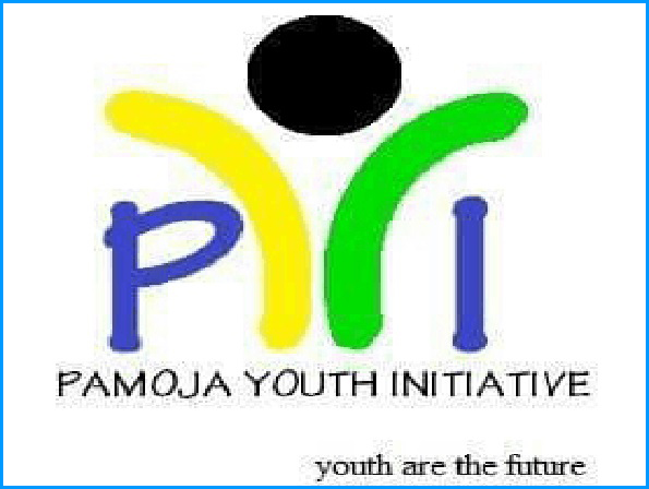 pamoja youth initiative