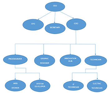 hasnet organization chart